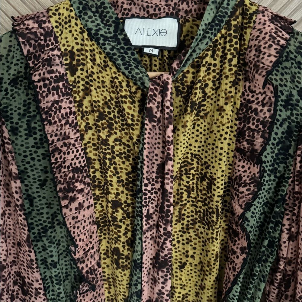 Alexis Multicolor Dress - Picture 10 of 13